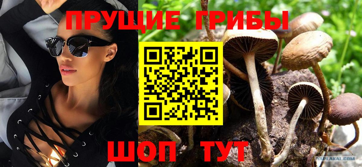 Галлюциногенные грибы Psilocybine cubensis  Псилоцибиновые грибы мицелий  что такое наркотик  Белогорск  Вход с VPN 